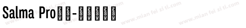 Salma Pro字体字体转换